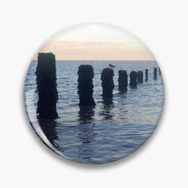 Item preview, Oyster Catcher at Peace Photography designed and sold by s10-Photography.