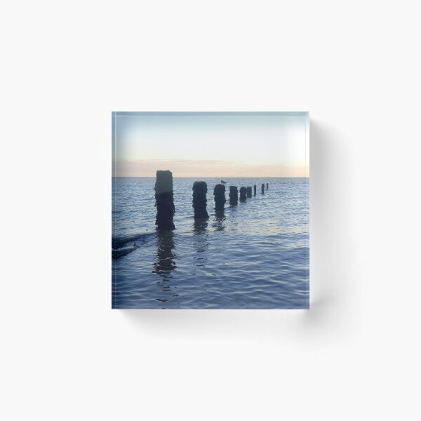 Item preview, Oyster Catcher at Peace Photography designed and sold by s10-Photography.