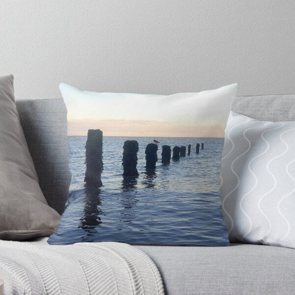 Item preview, Oyster Catcher at Peace Photography designed and sold by s10-Photography.