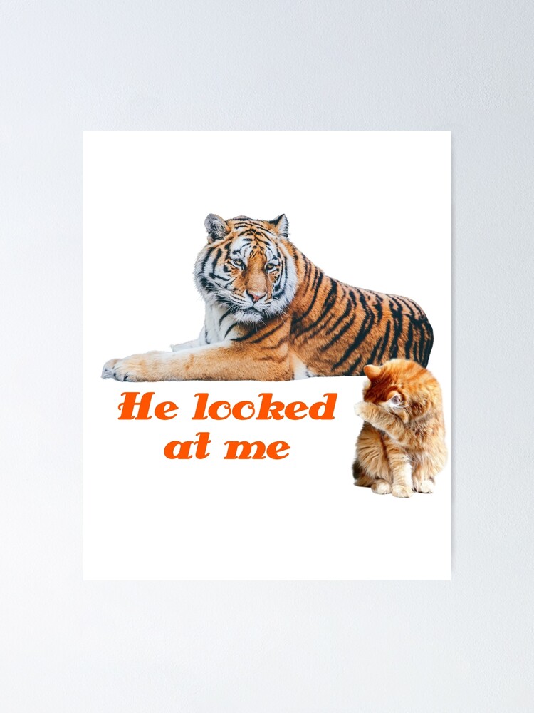 he looked at me, funny quotes he looked at me, funny quotes