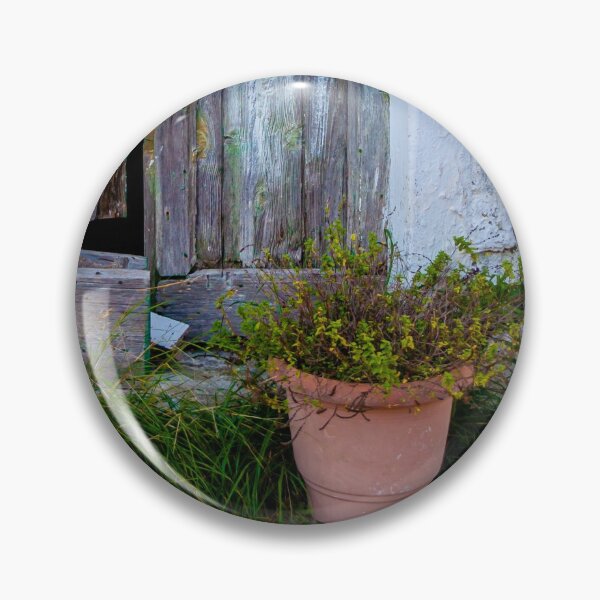 Item preview, Doors and plants designed and sold by Dalyndigital Photography.