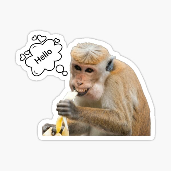 Stickers Sur Le Theme Singe Amoureux Redbubble