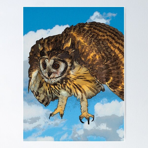 Item preview, This Owl Will Fly Again II designed and sold by alabca.