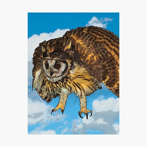 Item preview, This Owl Will Fly Again II designed and sold by alabca.