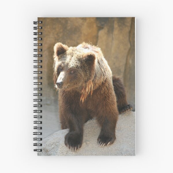 Item preview, Bear 2651cr designed and sold by Kenshots.