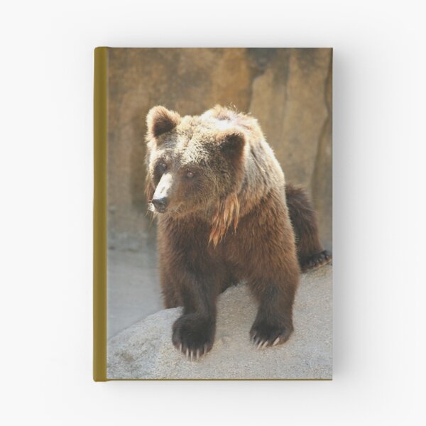 Item preview, Bear 2651cr designed and sold by Kenshots.