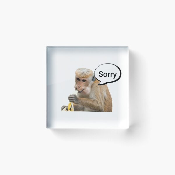 Item preview, Laughing Monkey Saying Sorry designed and sold by Ani1111.