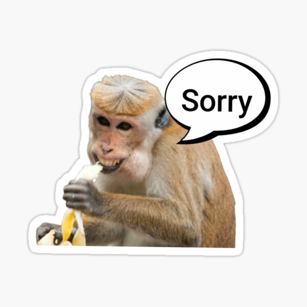 Meme Monkey Sticker