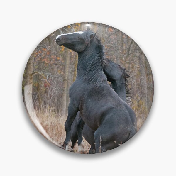 Item preview, Horse In Field designed and sold by Michael Cummings.