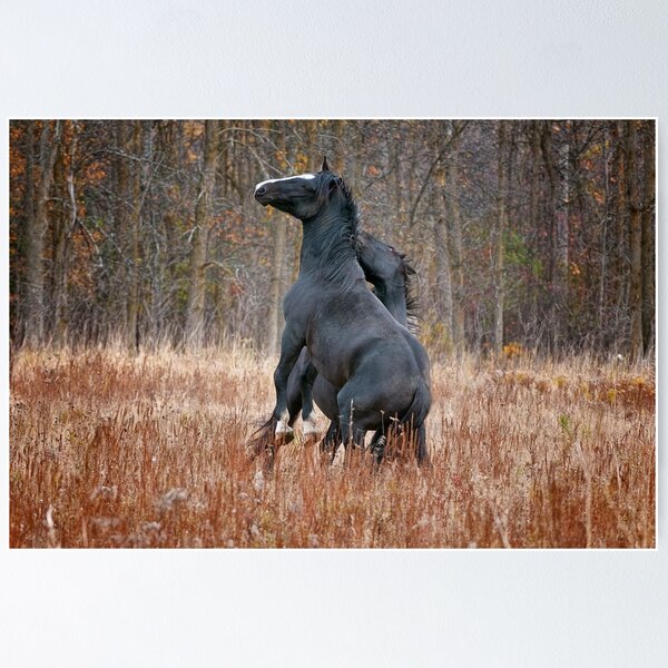 Item preview, Horse In Field designed and sold by Michael Cummings.