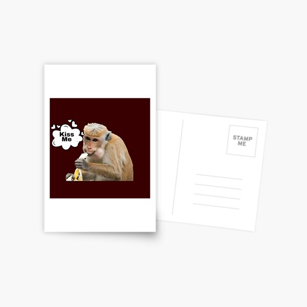 Side Eye Monkey Meme Postcard for Sale by SticksTooSlick