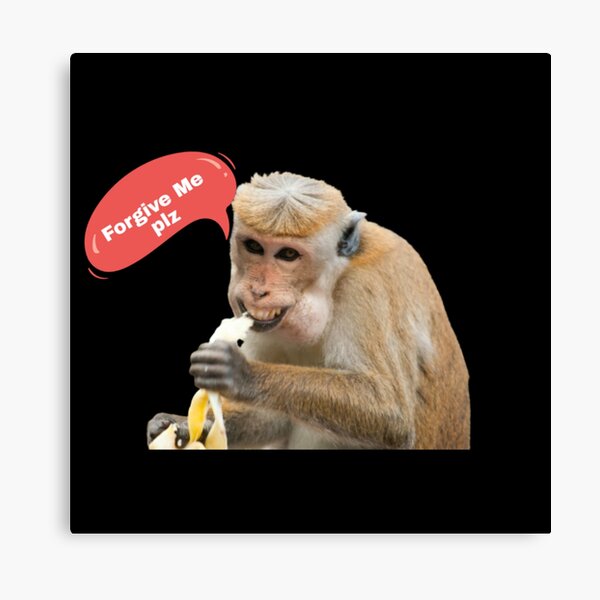 Monkey Meme Posters Online - Shop Unique Metal Prints, Pictures, Paintings