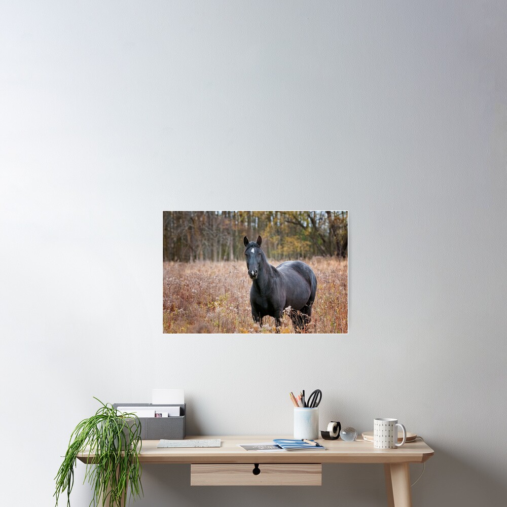 Item preview, Poster designed and sold by jaydee1400.