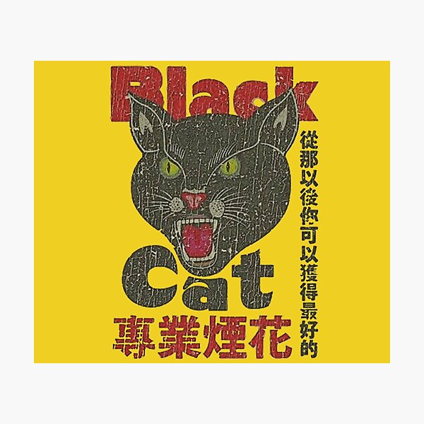vintage 1942 black cat Photographic Print