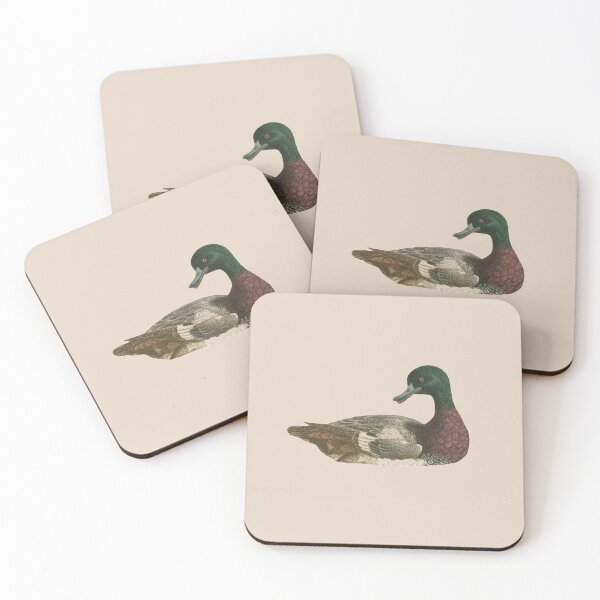 Item preview, Scaup designed and sold by Sinovius.