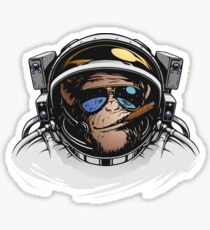 Space Monkey Sticker