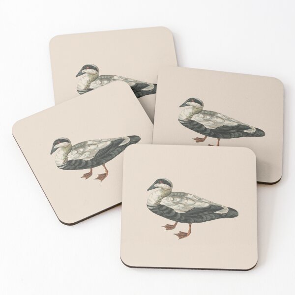 Item preview, Common eider designed and sold by Sinovius.