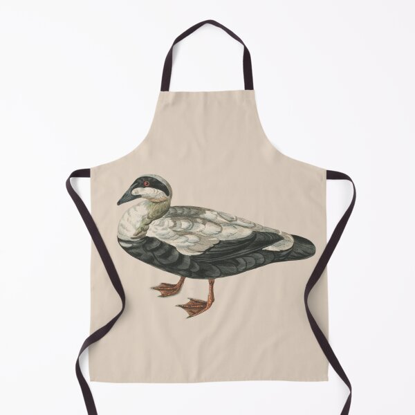 Item preview, Common eider designed and sold by Sinovius.