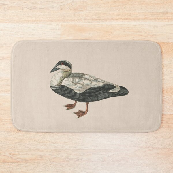 Item preview, Common eider designed and sold by Sinovius.