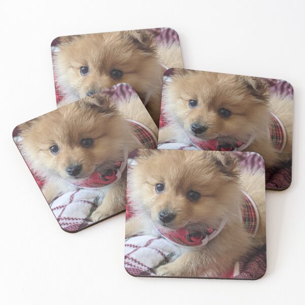 Item preview, Copy of Copy of Pomeranian puppy designed and sold by Fluffycat2020.
