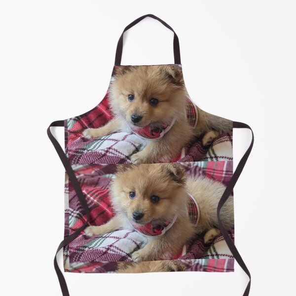 Item preview, Copy of Copy of Pomeranian puppy designed and sold by Fluffycat2020.