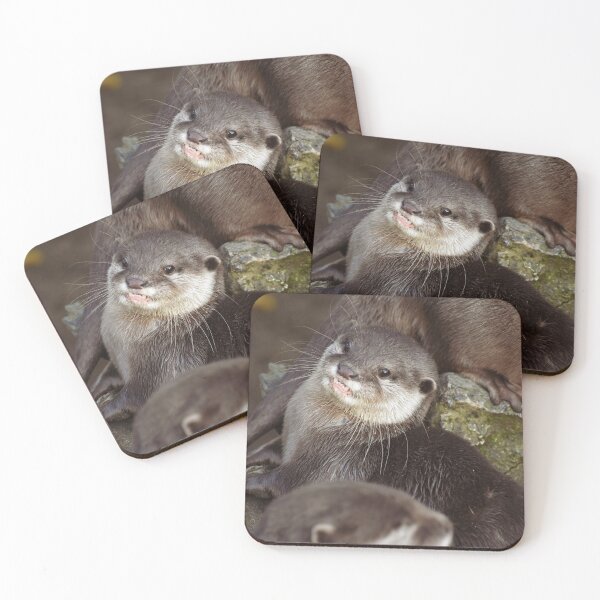 Item preview, Cute baby otter designed and sold by cdkphotos.