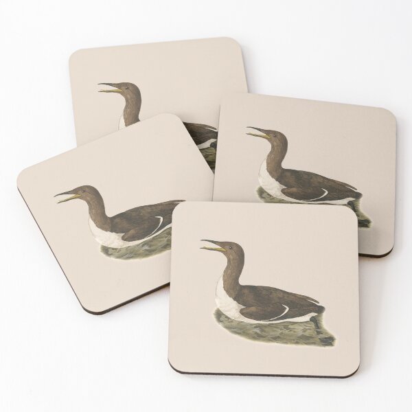 Item preview, common guillemot designed and sold by Sinovius.