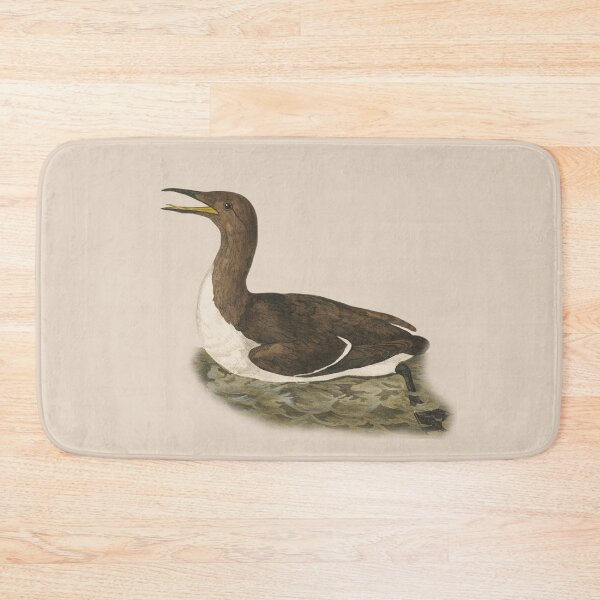 Item preview, common guillemot designed and sold by Sinovius.