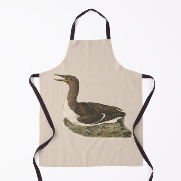 Item preview, common guillemot designed and sold by Sinovius.