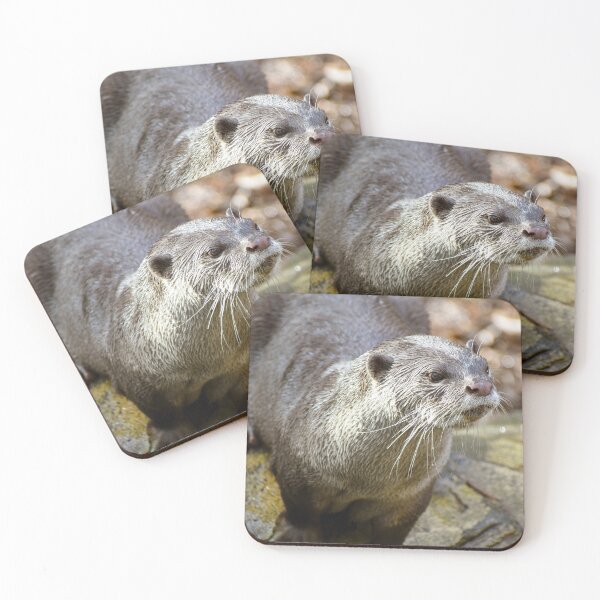 Item preview, Cute otter designed and sold by cdkphotos.