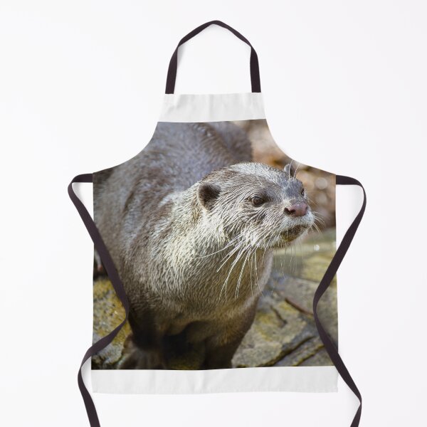 Item preview, Cute otter designed and sold by cdkphotos.