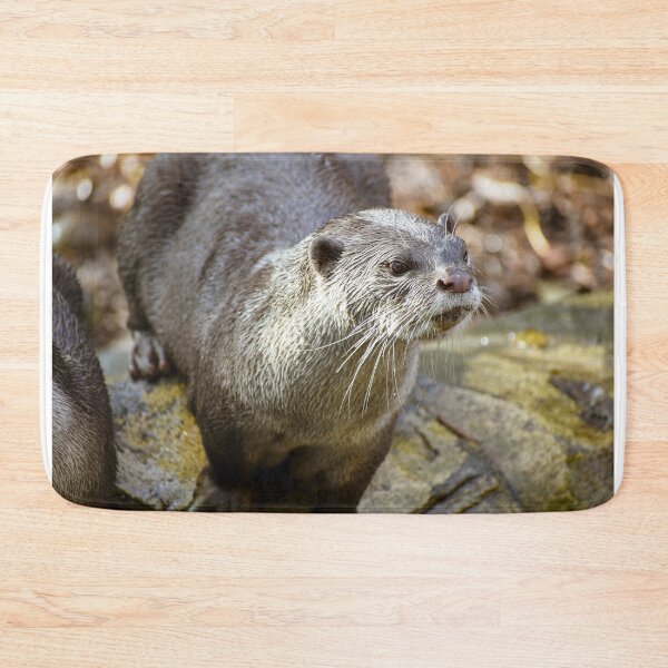 Item preview, Cute otter designed and sold by cdkphotos.