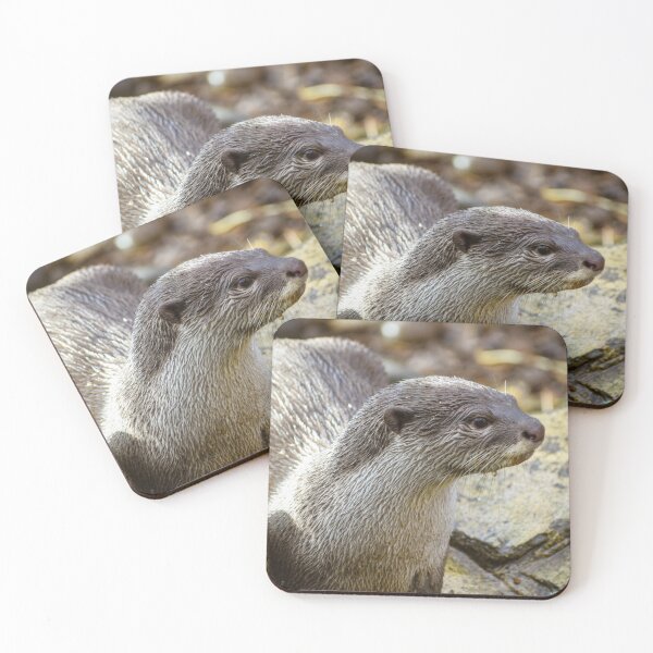 Item preview, Cute otter designed and sold by cdkphotos.