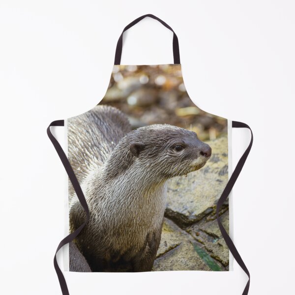 Item preview, Cute otter designed and sold by cdkphotos.