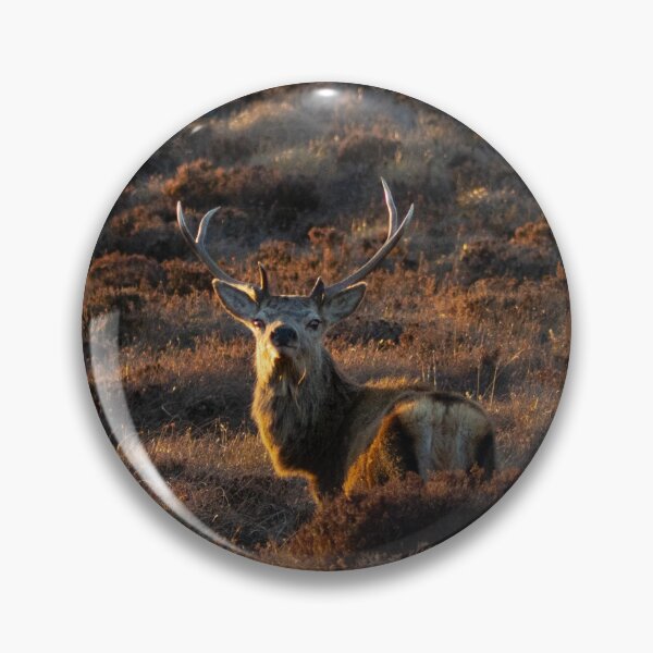 Item preview, Red Deer Stag in the Scottish Highlands of Sutherland Scotland UK designed and sold by emergentdesigns.