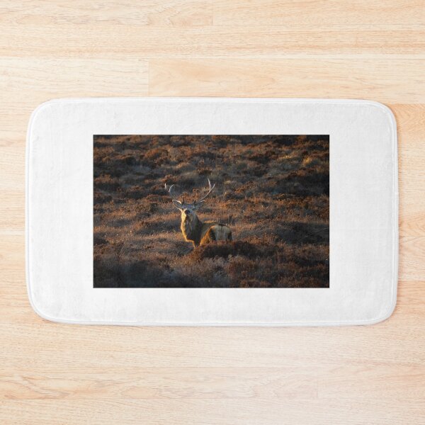 Item preview, Red Deer Stag in the Scottish Highlands of Sutherland Scotland UK designed and sold by emergentdesigns.