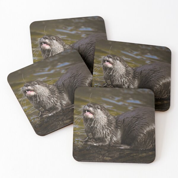 Item preview, Funny otter pose designed and sold by cdkphotos.