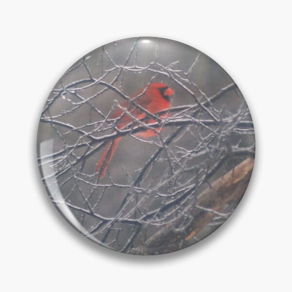Item preview, Frozen designed and sold by scottyp143.