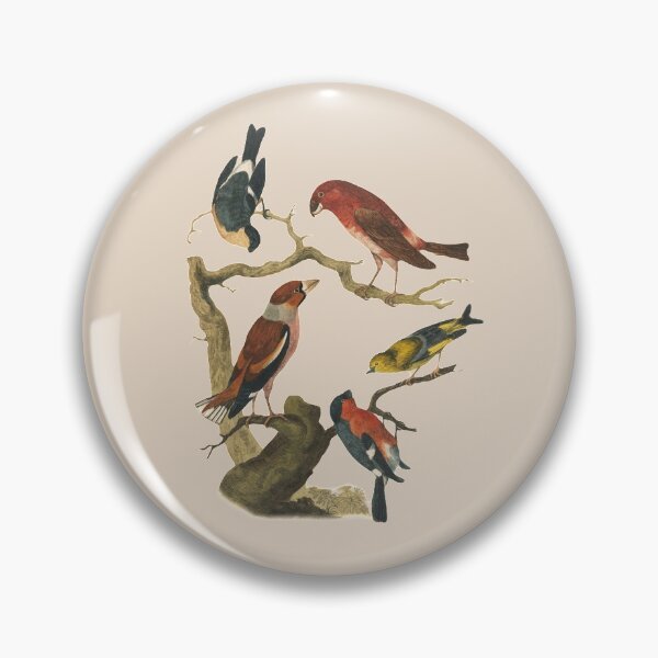 Item preview, Vintage bird collection  designed and sold by Sinovius.