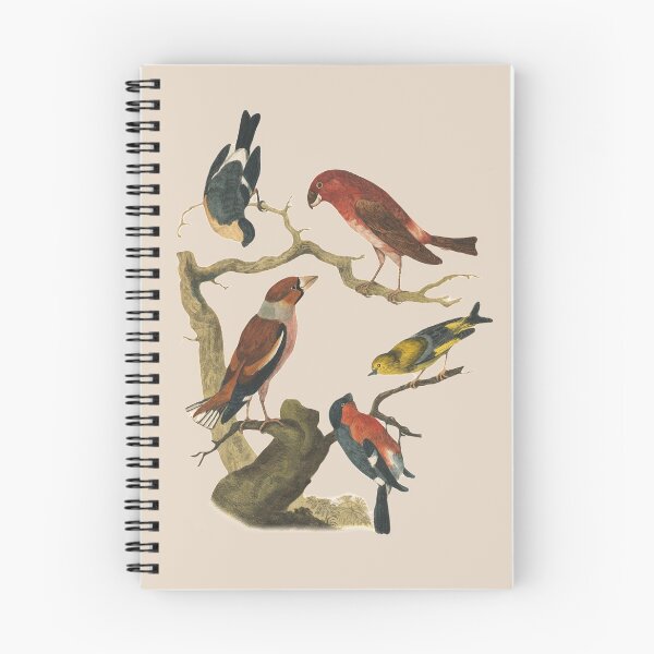 Item preview, Vintage bird collection  designed and sold by Sinovius.