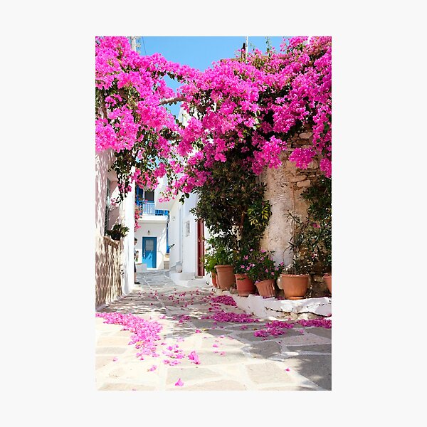 Item preview, Alleyway,flowers,blossom ,Mediterranean street decor  designed and sold by bambino12345678.