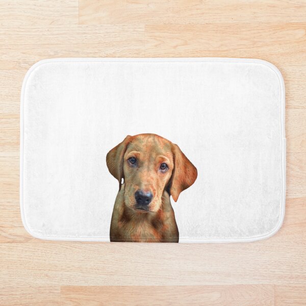 Item preview, Dexter the Fox Labrador rojo - Puppy Eyes designed and sold by DexterFRL.
