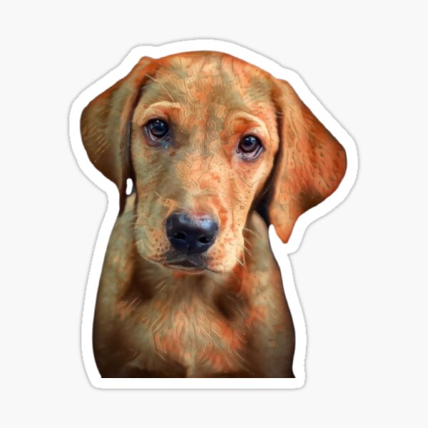 Red Fox Lab Puppy Gifts Merchandise Redbubble