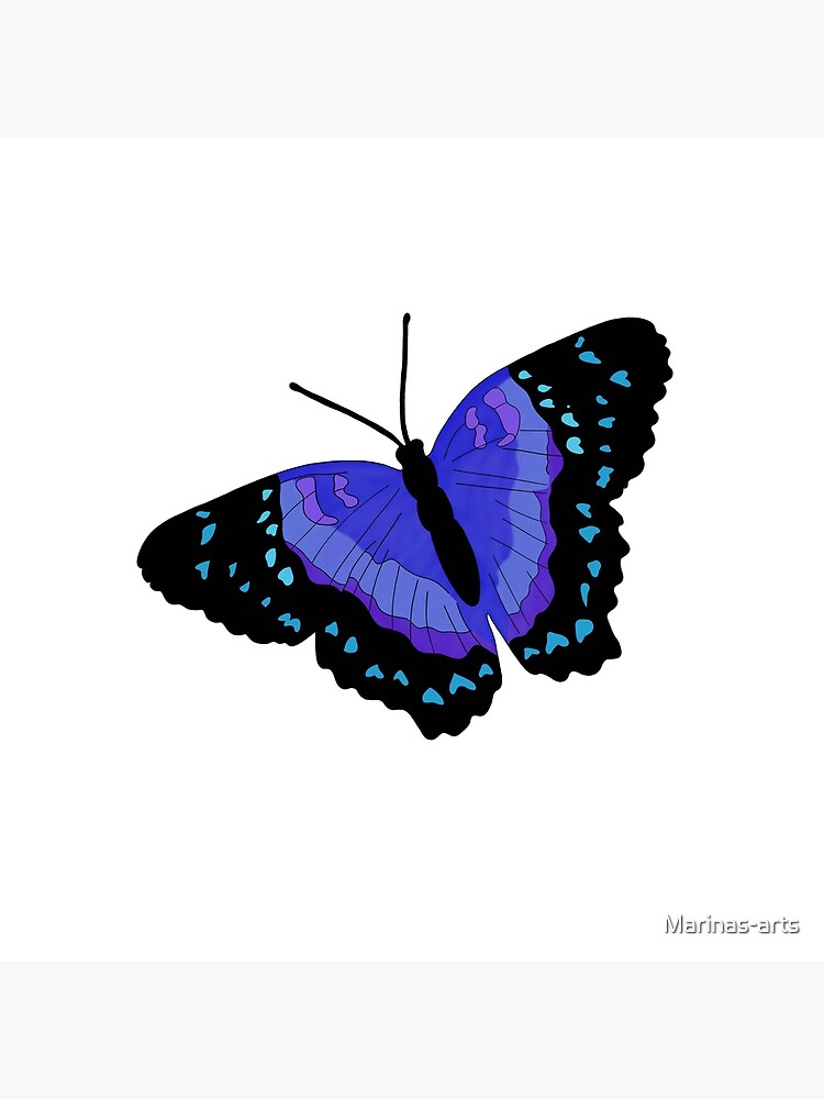 "Black and Blue Butterfly" Art Print for Sale by Marinasarts Redbubble