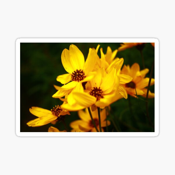 Item preview, Yellow Flowers designed and sold by nicknickb.