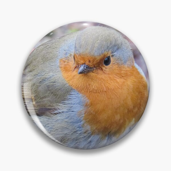Item preview, Robin redbreast standing on a pot  designed and sold by Joanne Wall.