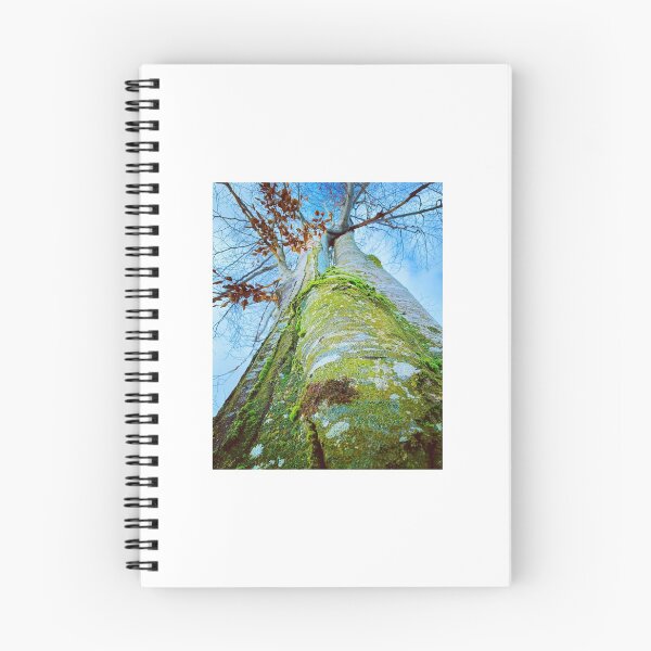 Item preview, Tree designed and sold by Prislopas.