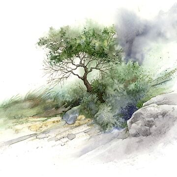 Artwork thumbnail, Brush Stone Study by mindofwaterc