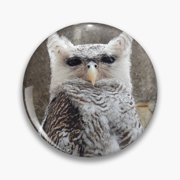 Item preview, The Staring Owly designed and sold by ColourfulDae.