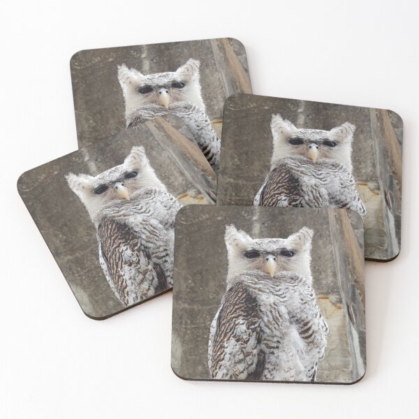 Item preview, The Staring Owly designed and sold by ColourfulDae.